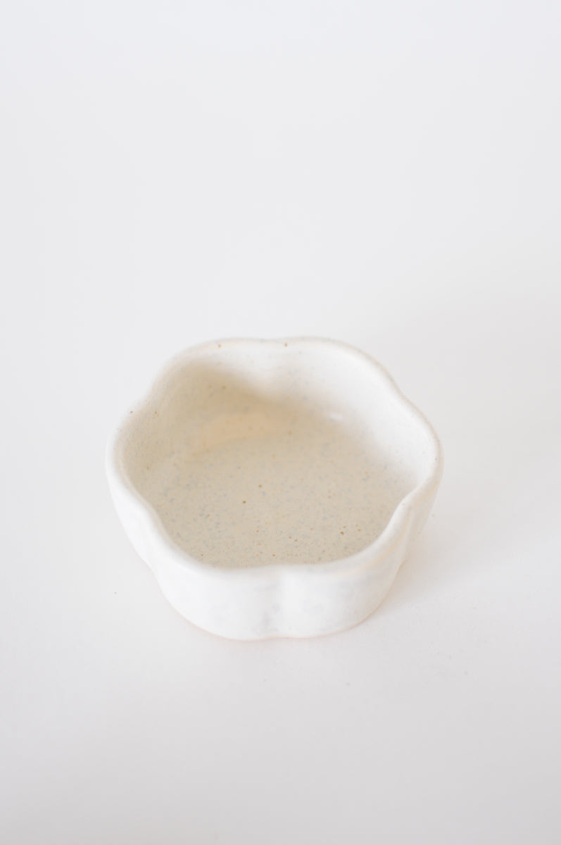 Small Dish — Oatmeal