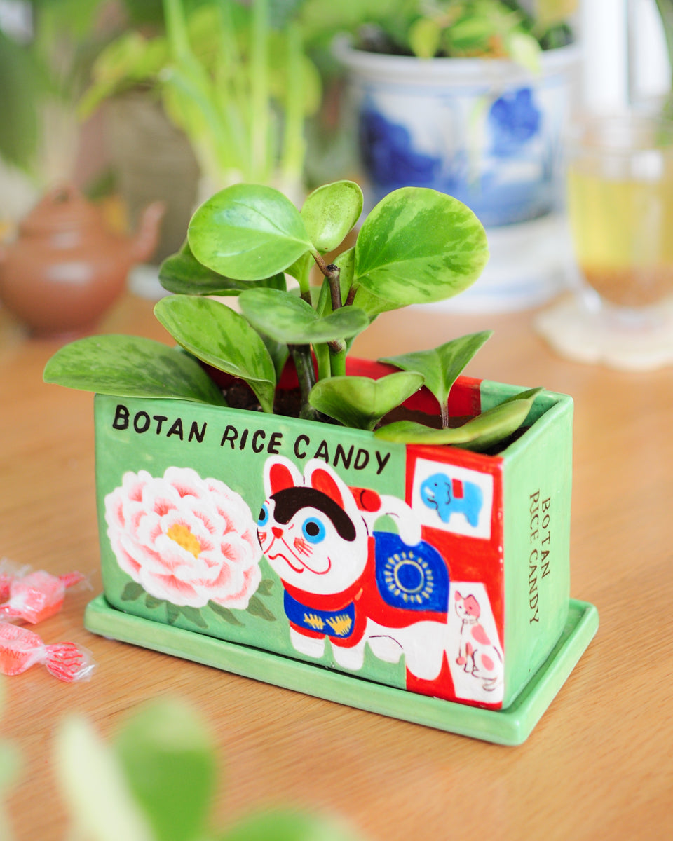 Botan Rice Candy planter