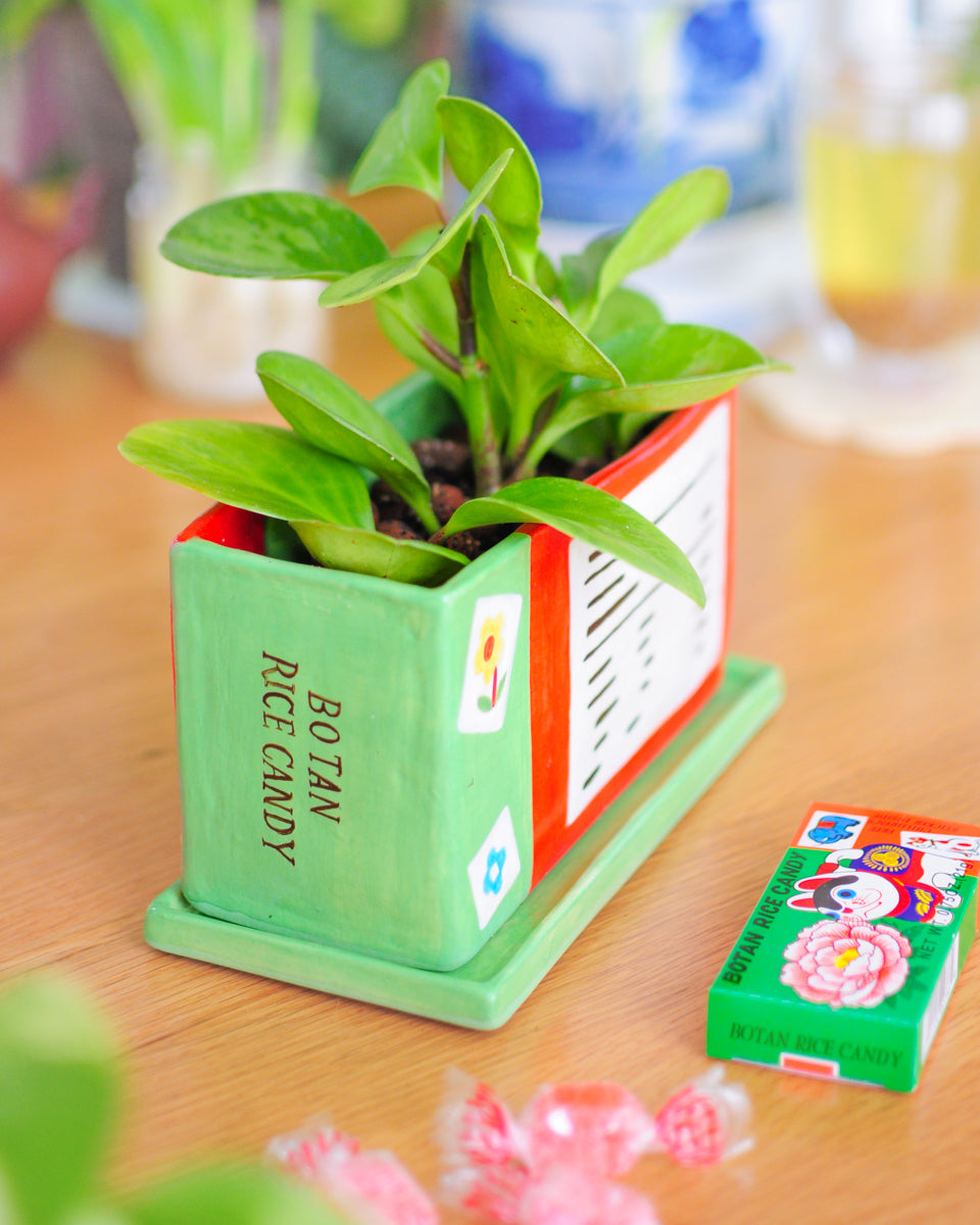 Botan Rice Candy planter