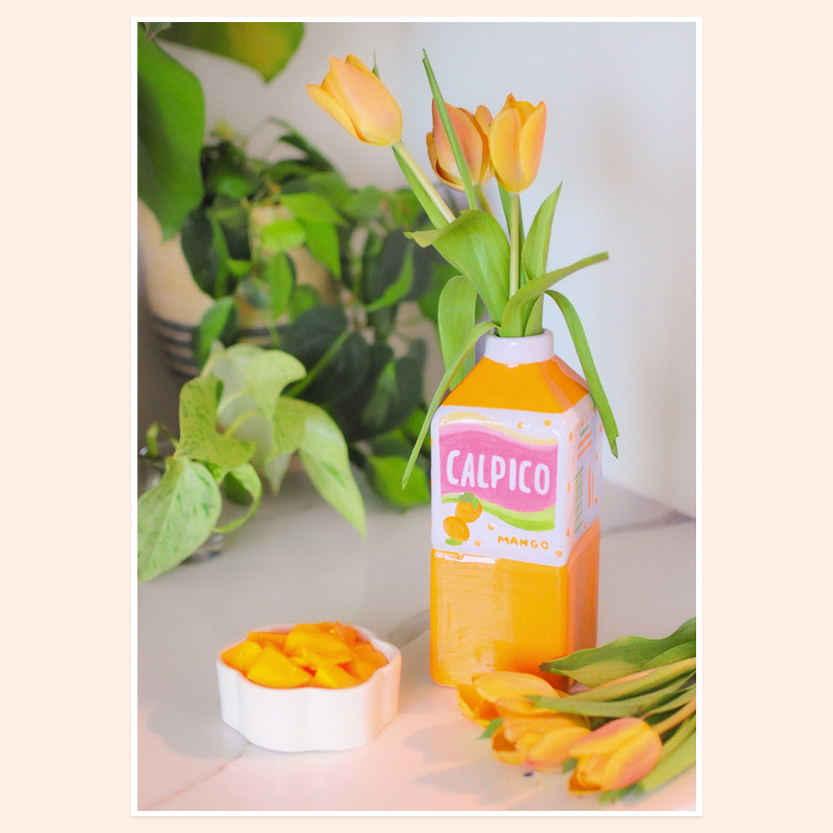 Mango Calpico print