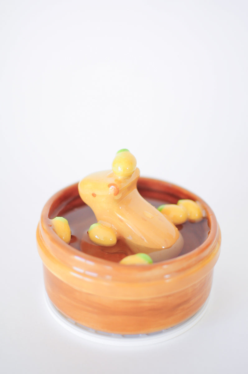 Capybara Propagation Pot — 01