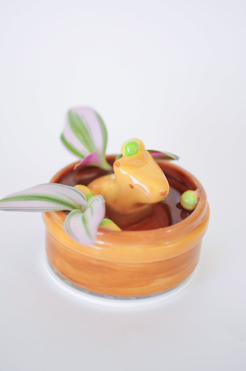 Capybara Propagation Pot — 01