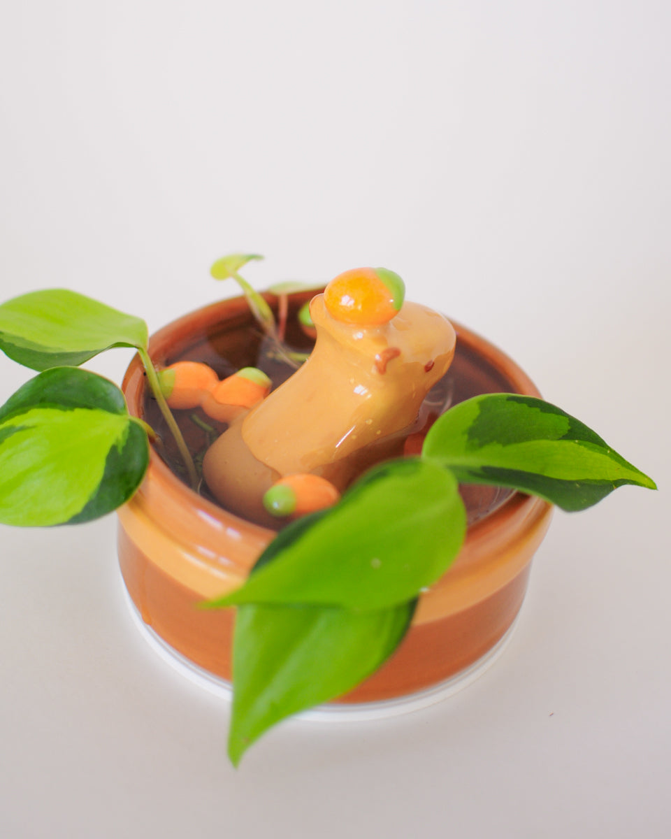 Capybara Propagation Pot — 04