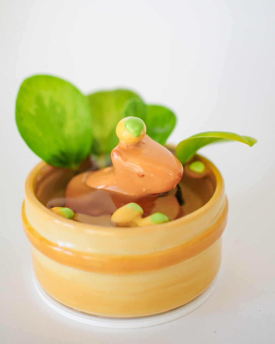 Capybara Propagation Pot — 02