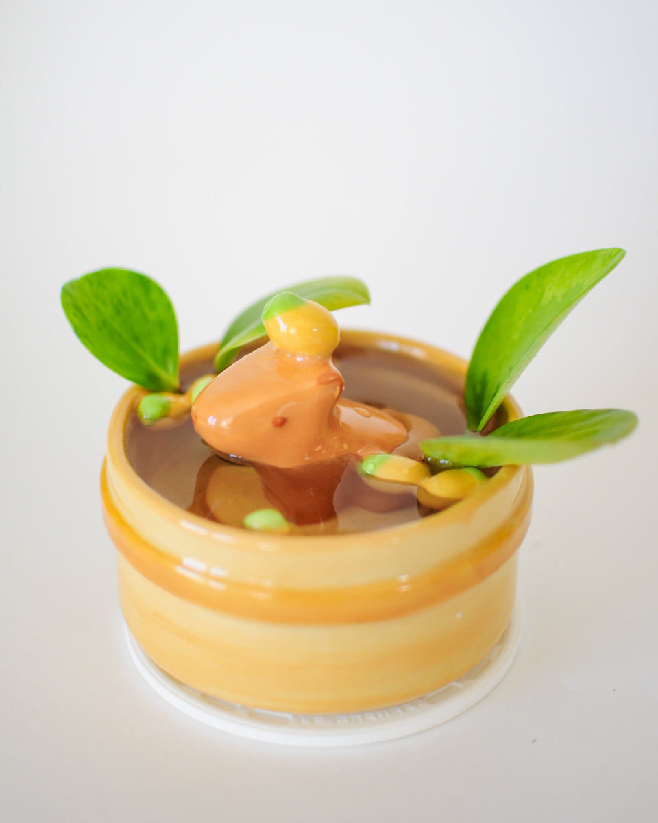 Capybara Propagation Pot — 02