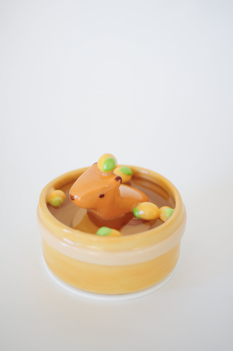 Capybara Propagation Pot — 05