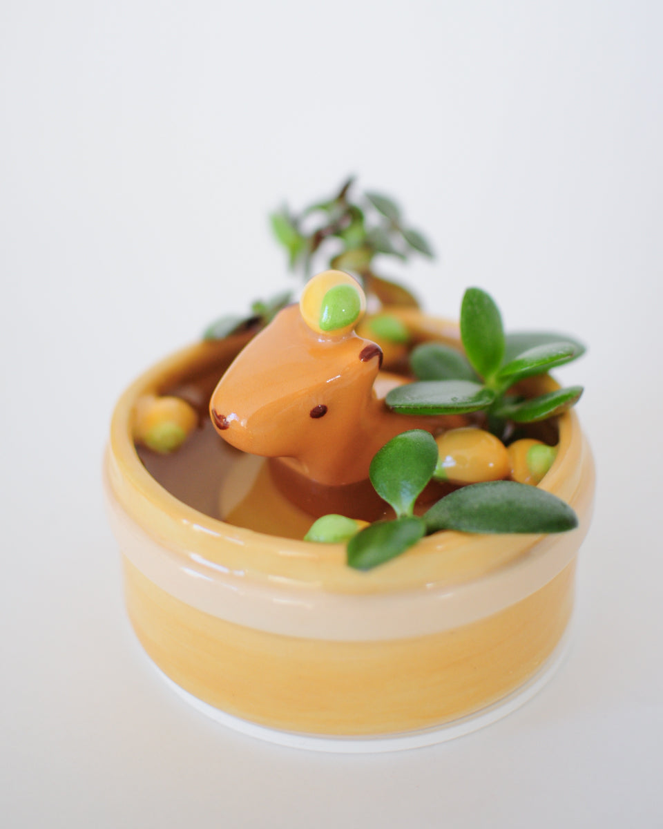 Capybara Propagation Pot — 05