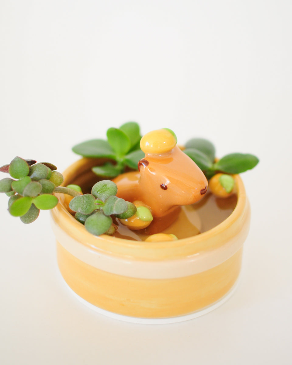 Capybara Propagation Pot — 05