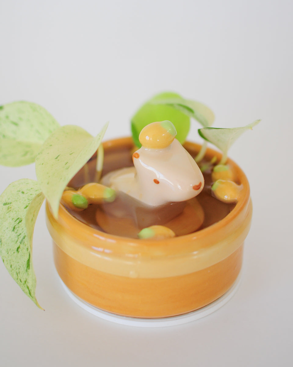Capybara Propagation Pot — 06