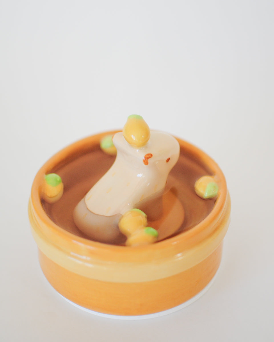 Capybara Propagation Pot — 06