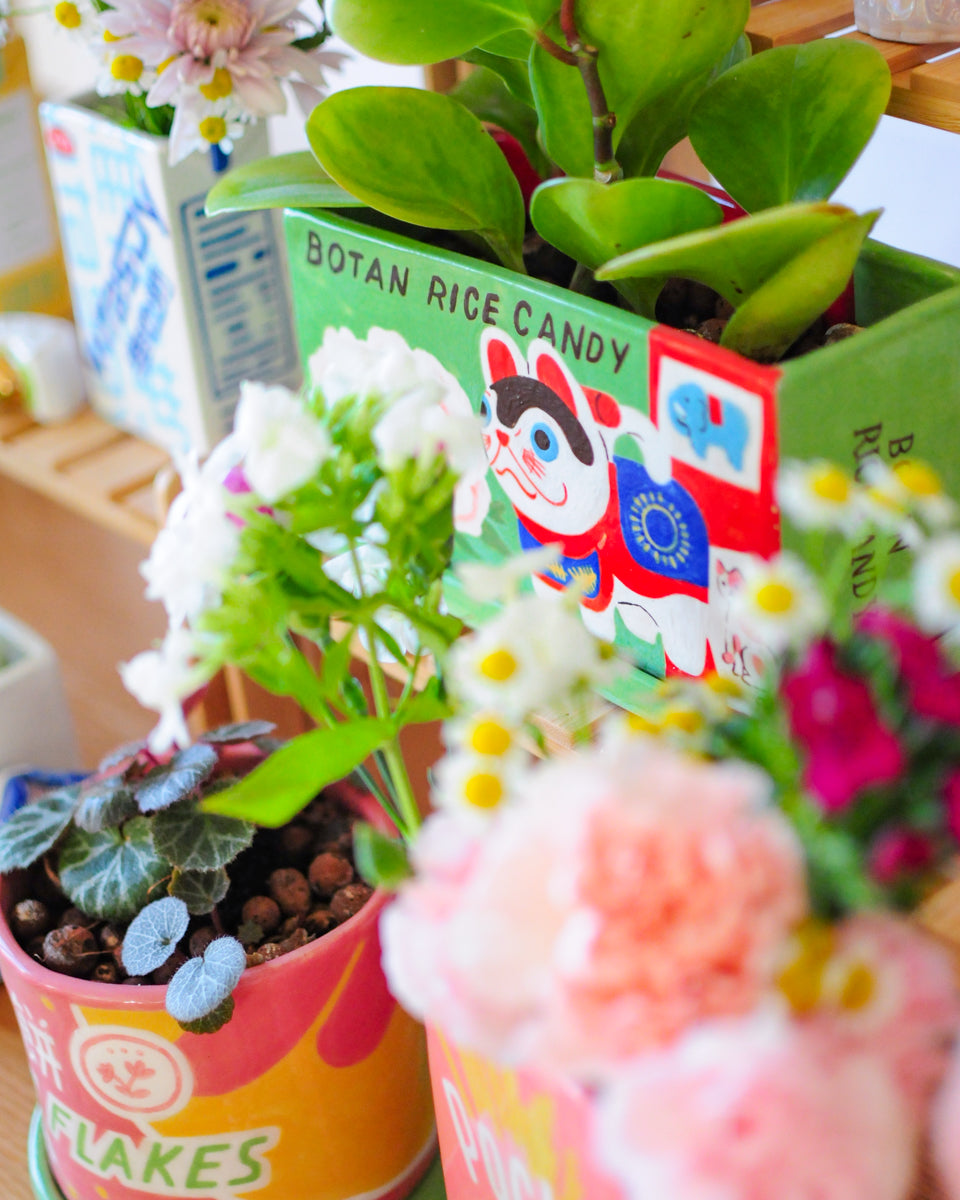 Botan Rice Candy planter