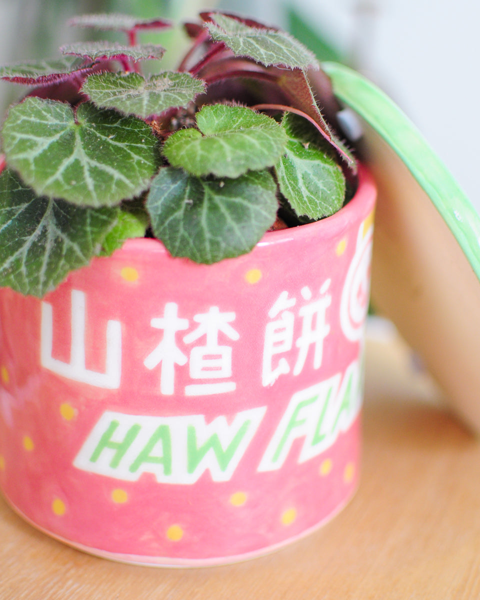 Haw Flakes planter