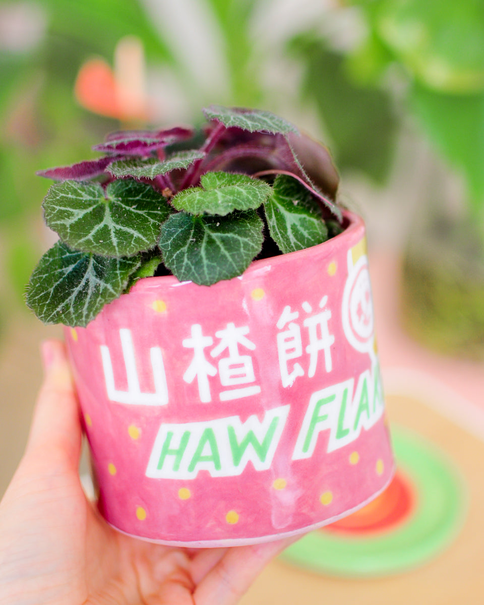 Haw Flakes planter