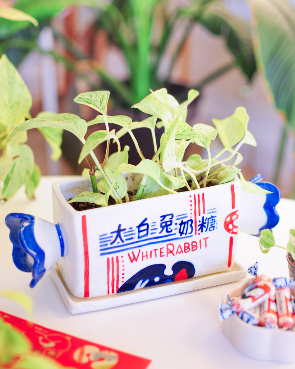 White Rabbit Candy planter