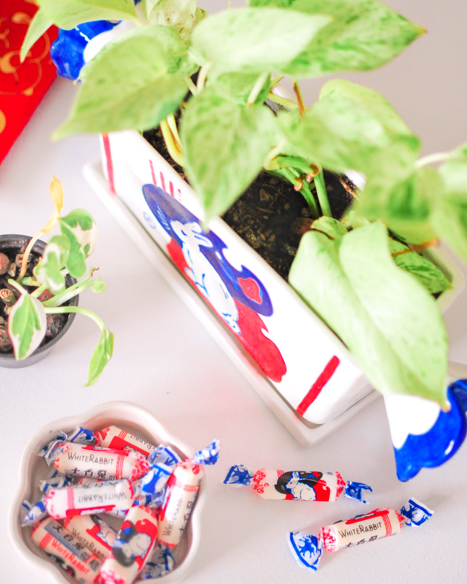 White Rabbit Candy planter