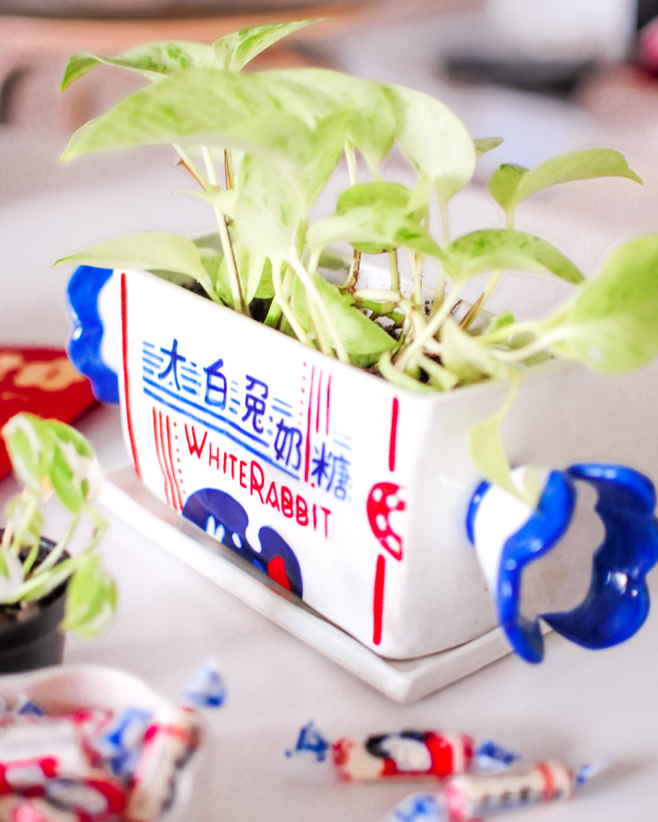 White Rabbit Candy planter