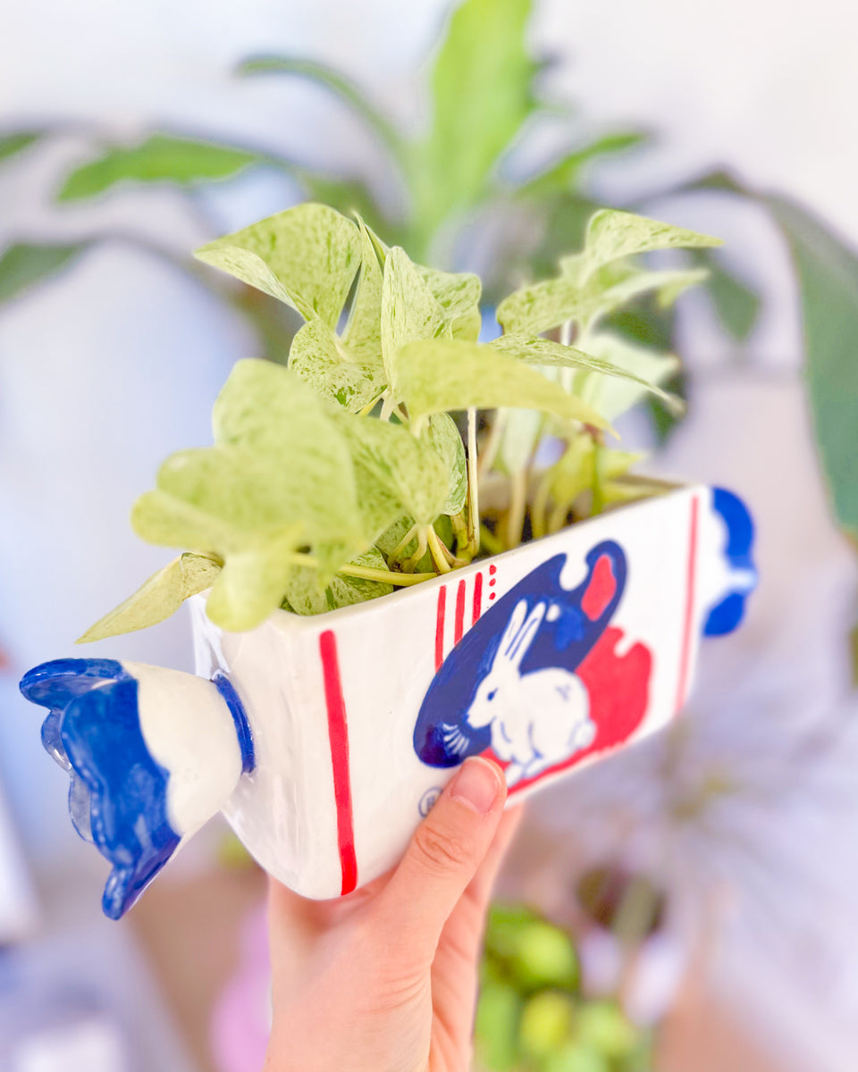 White Rabbit Candy planter