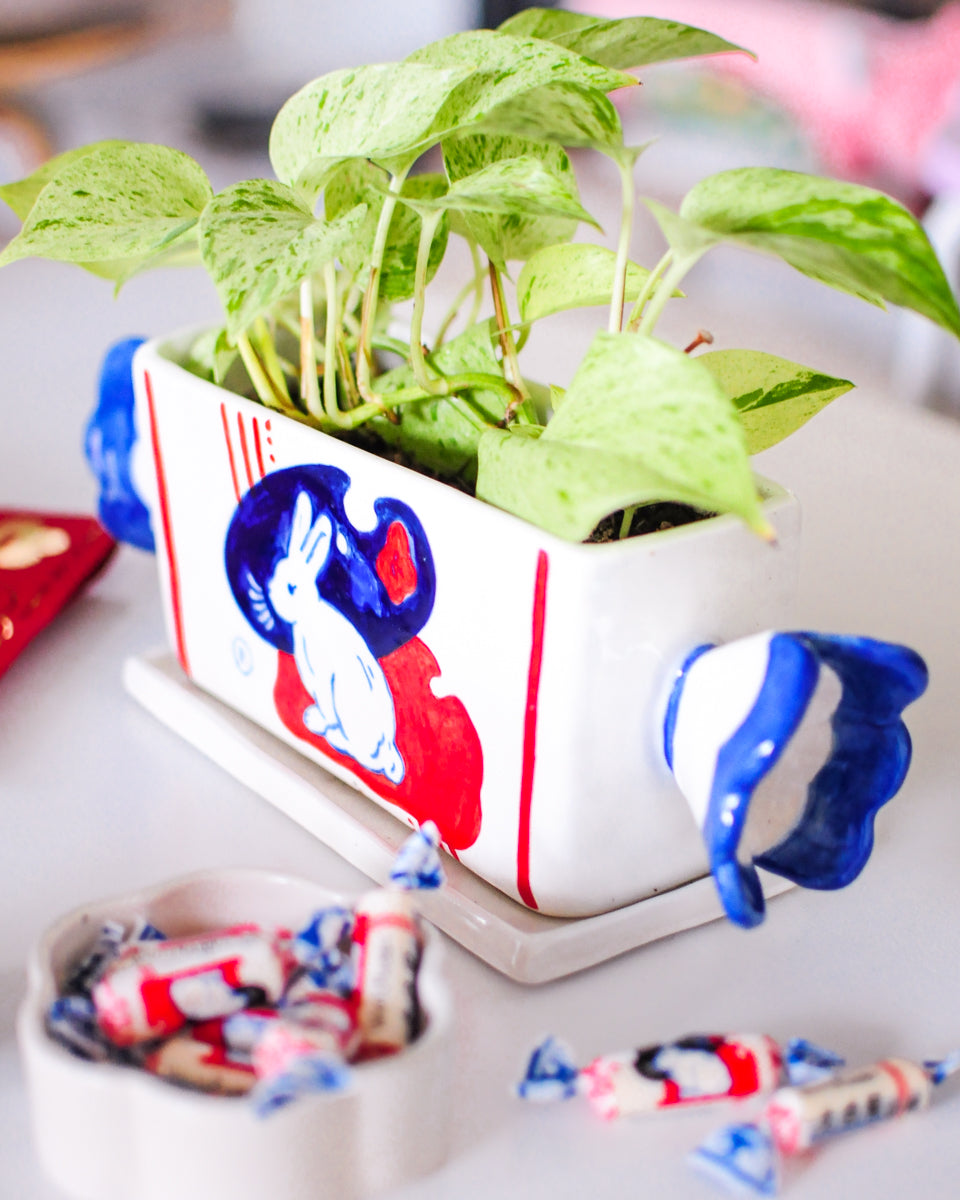 White Rabbit Candy planter