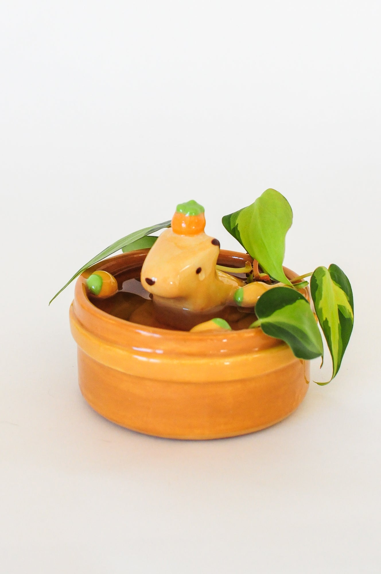 Capybara Propagation Pot — 08