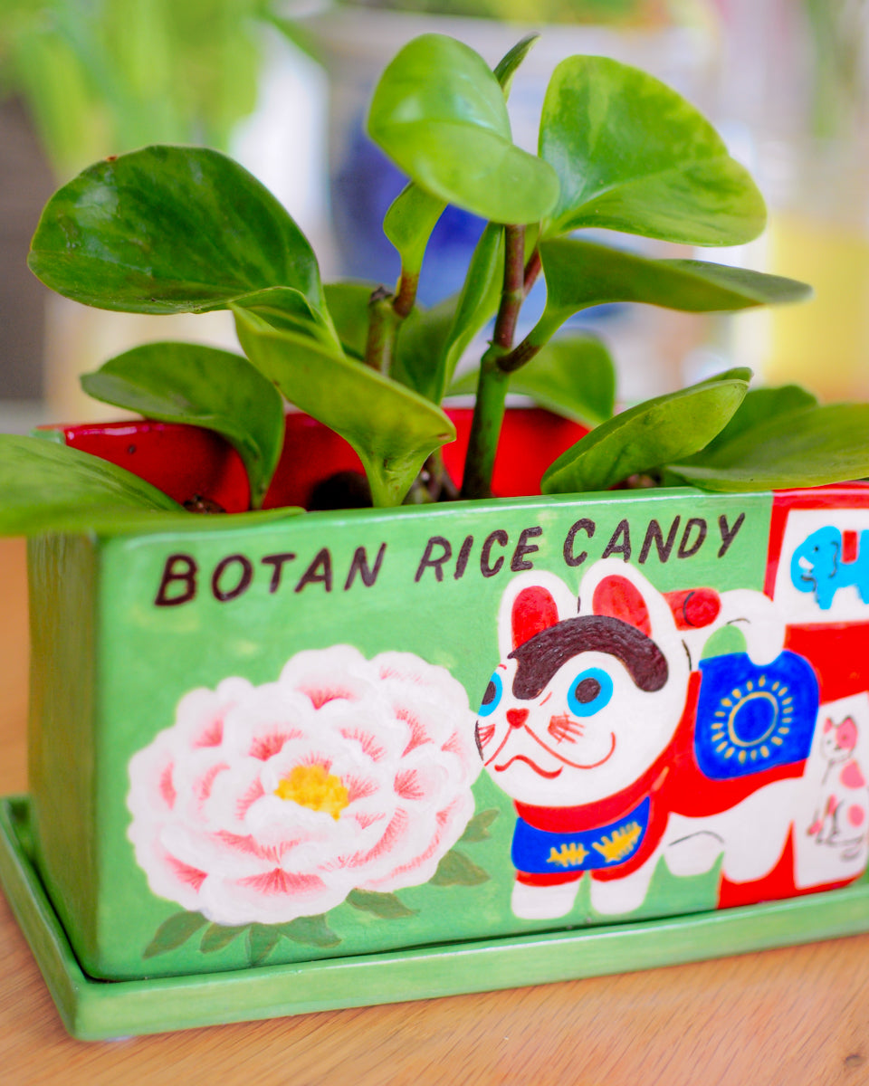 Botan Rice Candy planter