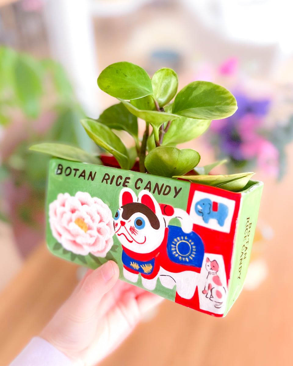 Botan Rice Candy planter – byalicelee