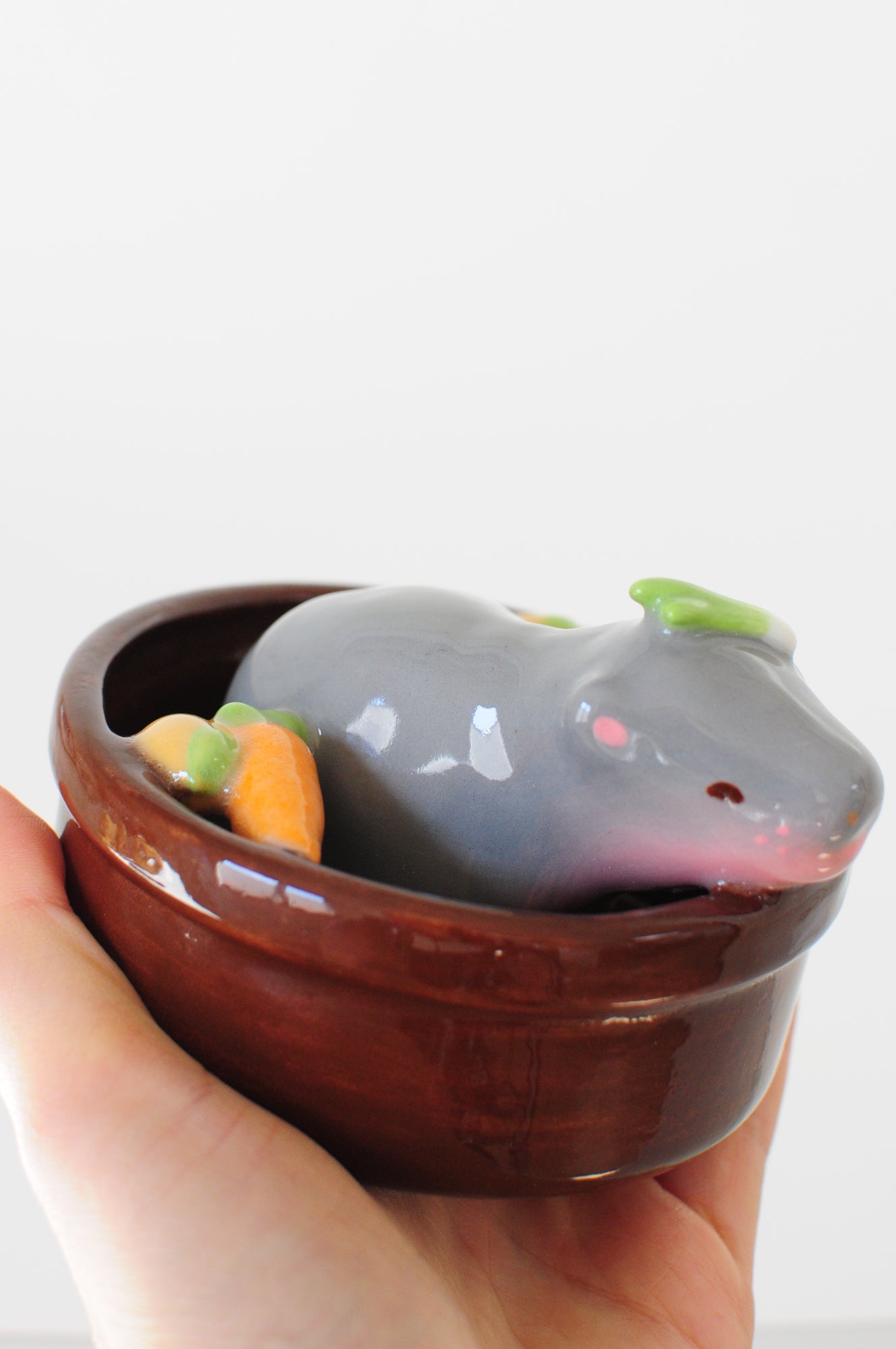 Moo Deng Propagation Pot